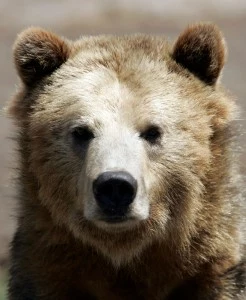 San Francisco Zoo Celebrates Endangered Species Day