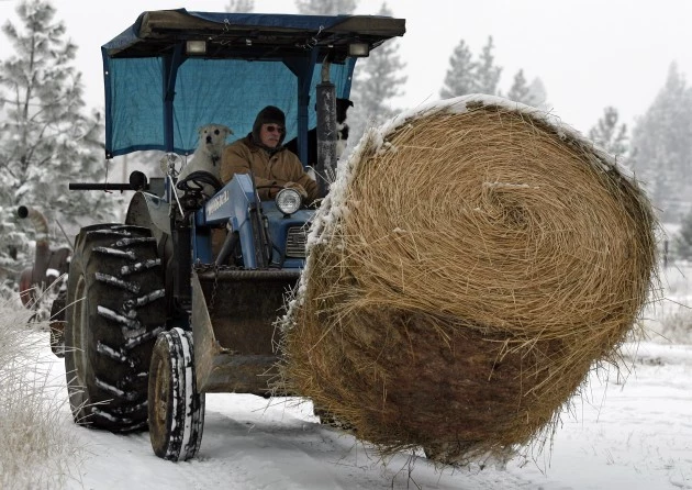 U.S. Hay Prices Rise To All-Time Highs