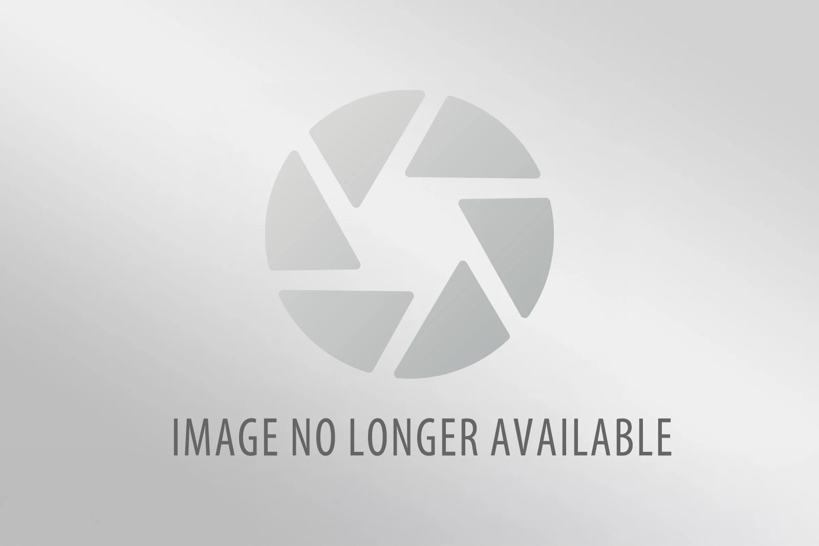 moose wilson road-