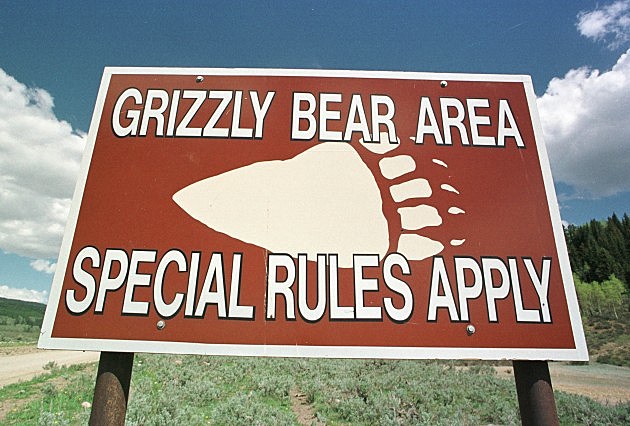 Grizzly Bear Warnings Grizzly Bear Warnings