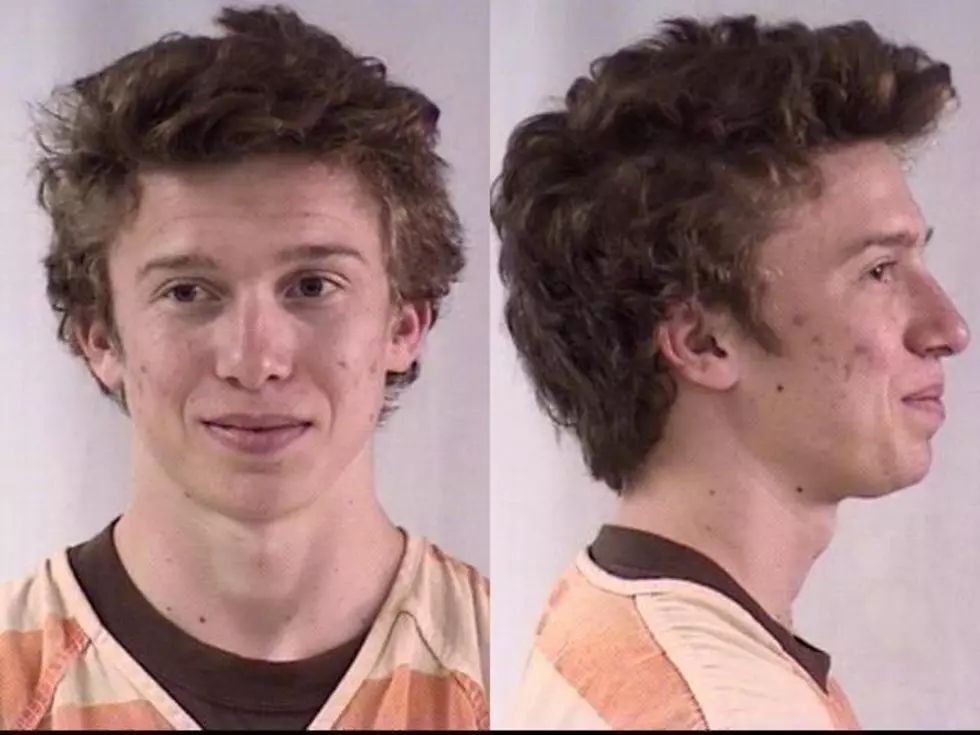 Cheyenne Police Seek Vandalism Suspect