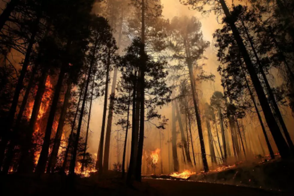 No Growth Expected in Bridger-Teton National Forest Fire