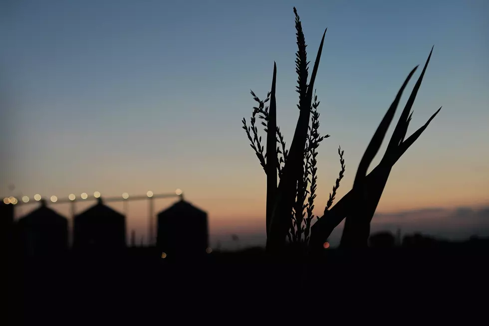Study: Drought-breaking Rains More Erratic, Rare in U.S. West