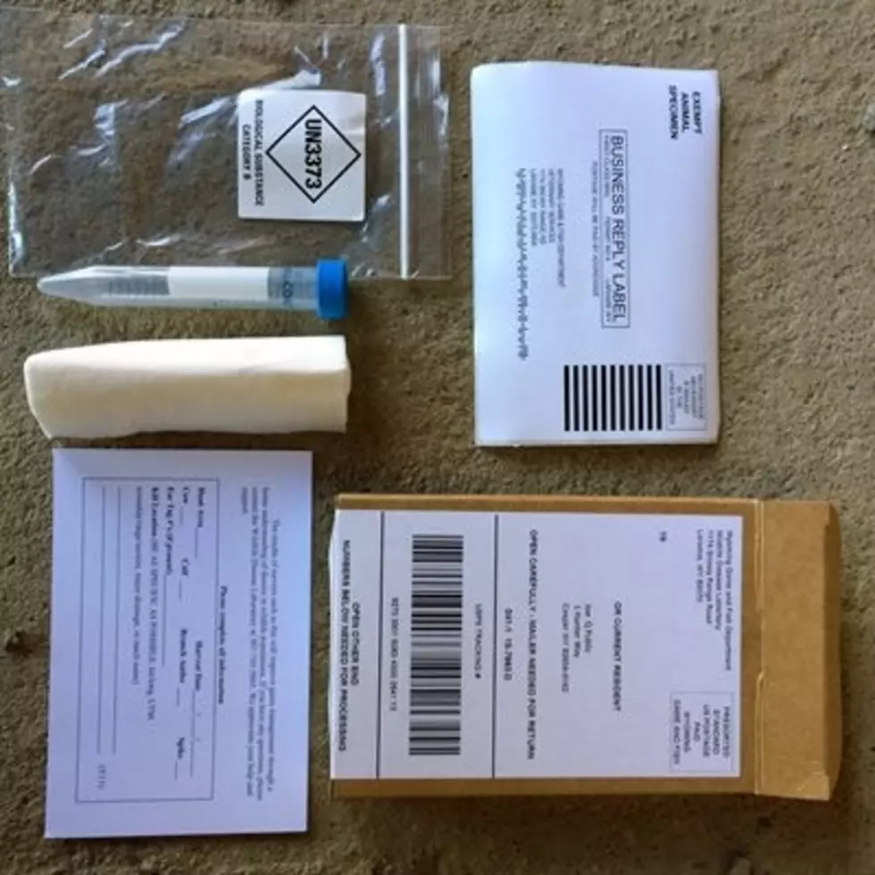 Elk hunters asked to submit blood samples from their harvested animal