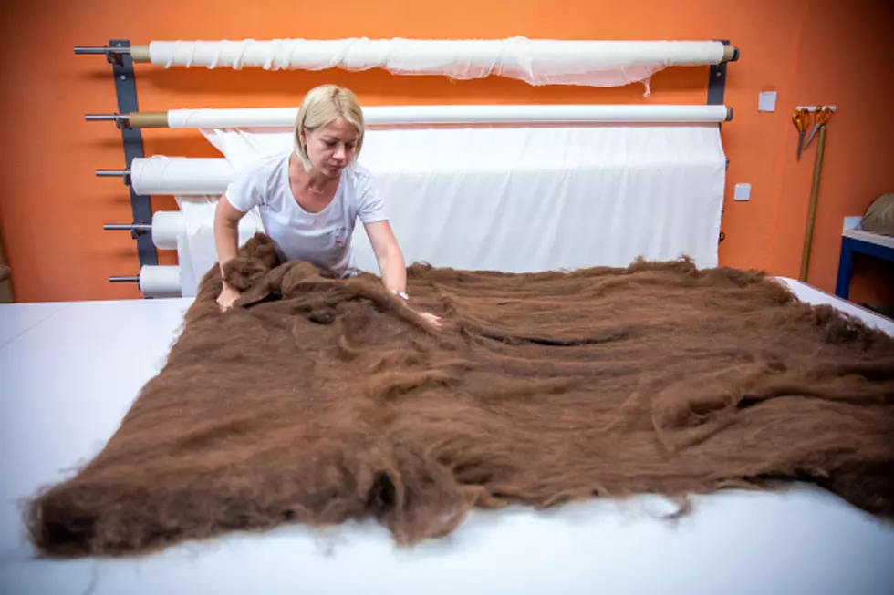 Tour The Wyoming Wool Factory