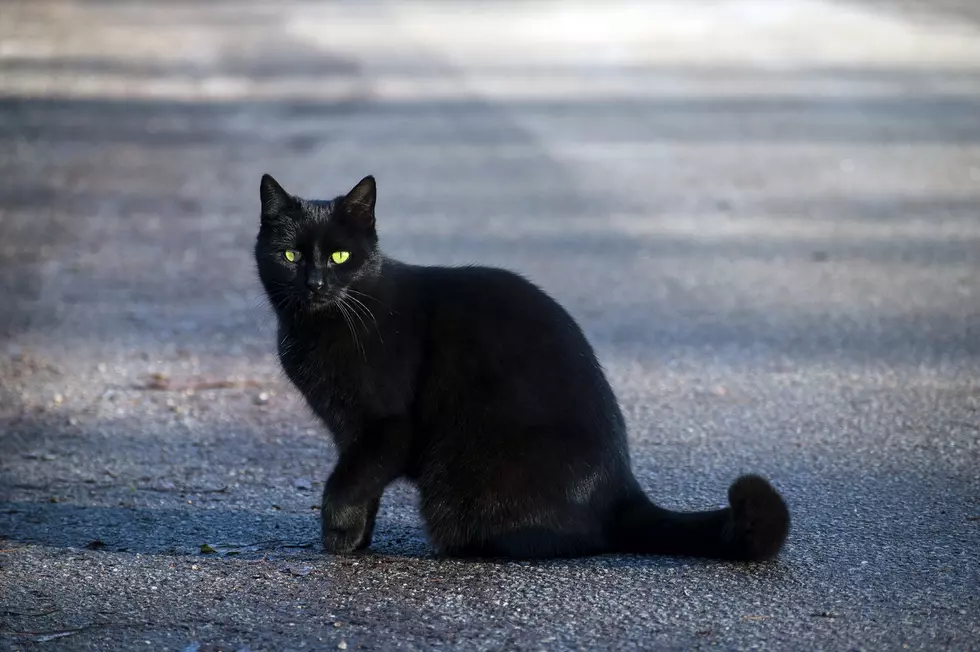 13 Truths & 1 Guess About Friday the 13th & Superstition