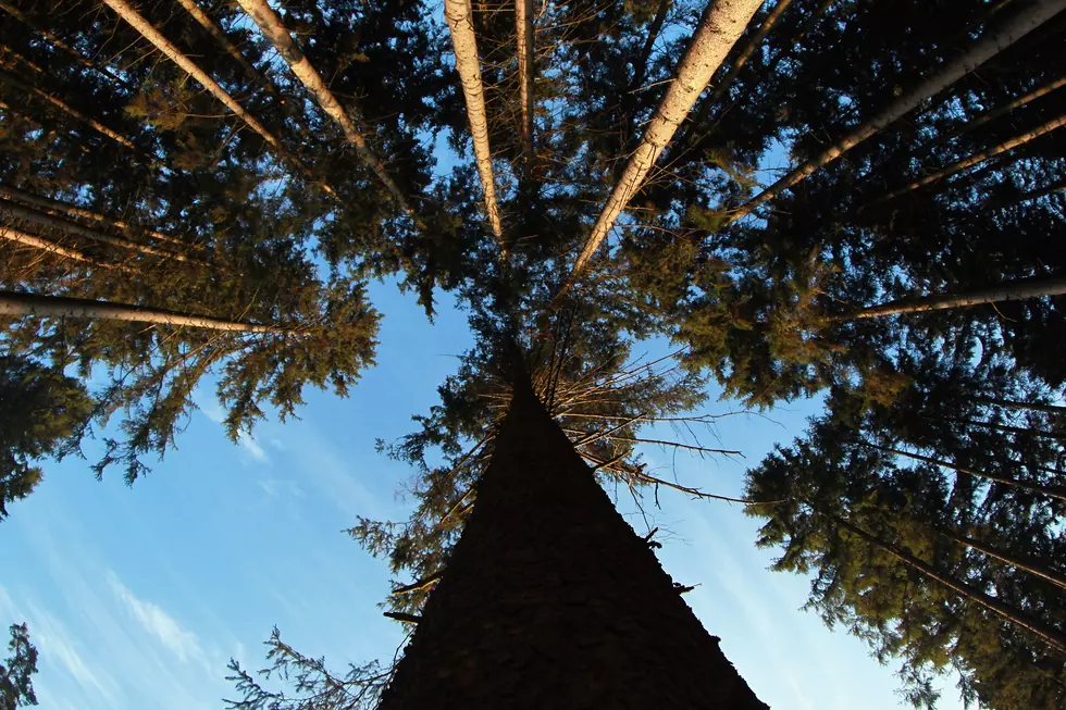 US Land Agency Seeks to ID Public Parcels That Lack Access