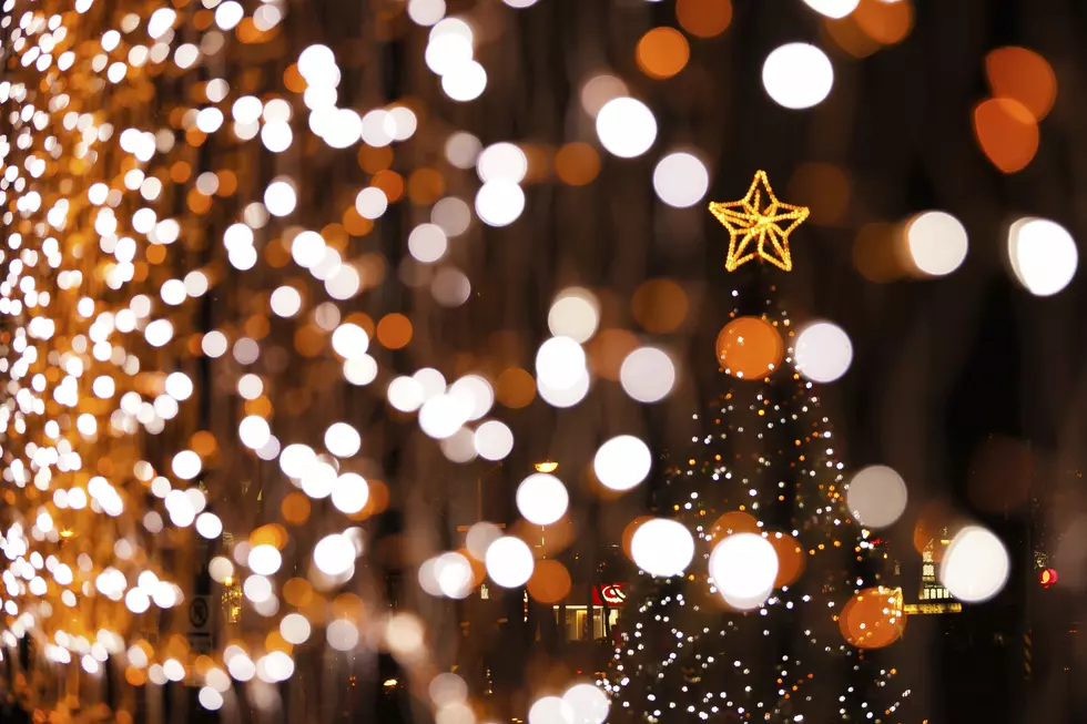 Cheyenne Launches ‘Adopt-A-Tree’ Program for the Holidays