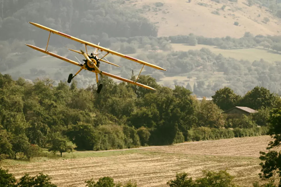 Biplane crash lands into swine truck on Wyoming interstate