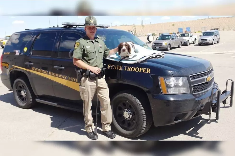 Gone But Never Forgotten: Remembering Wyoming Highway Patrol K-9 Robbie