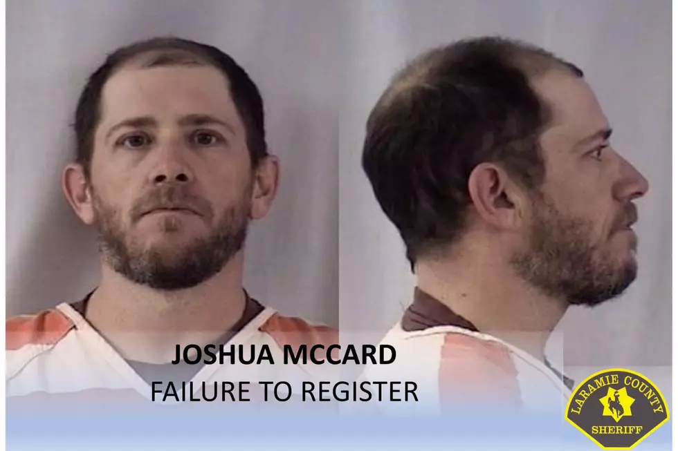 Laramie County Sheriff's Office via Facebook