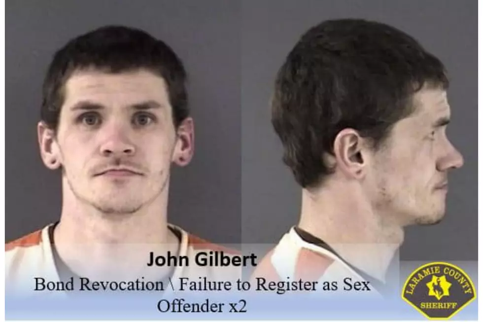 Laramie County Sheriff's Office via Facebook