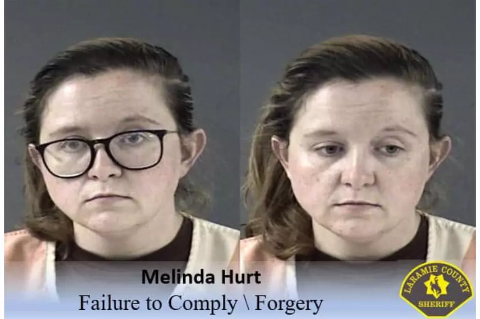 Laramie County Sheriff's Office via Facebook