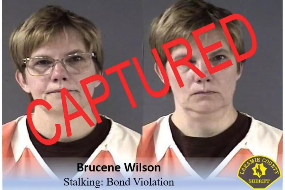 Laramie County Sheriff's Office via Facebook