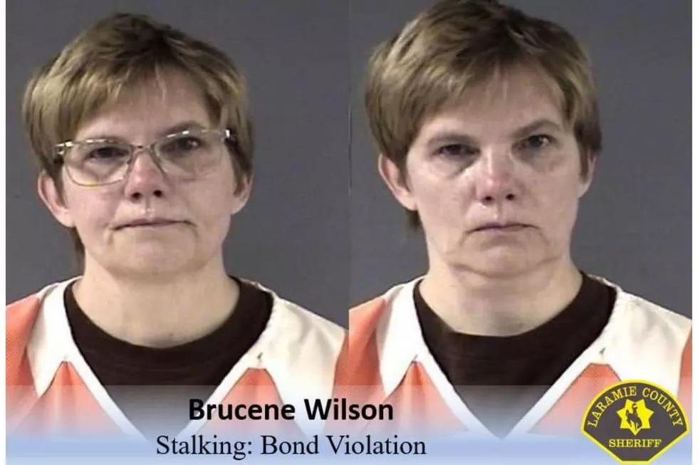 Laramie County Sheriff's Office via Facebook