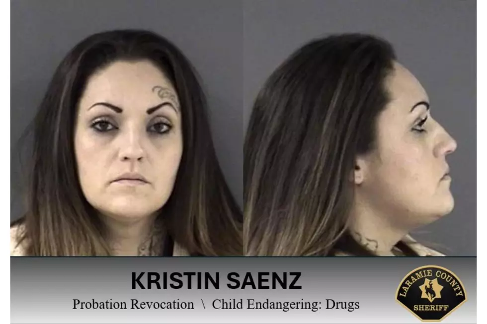 Laramie County Sheriff's Office via Facebook