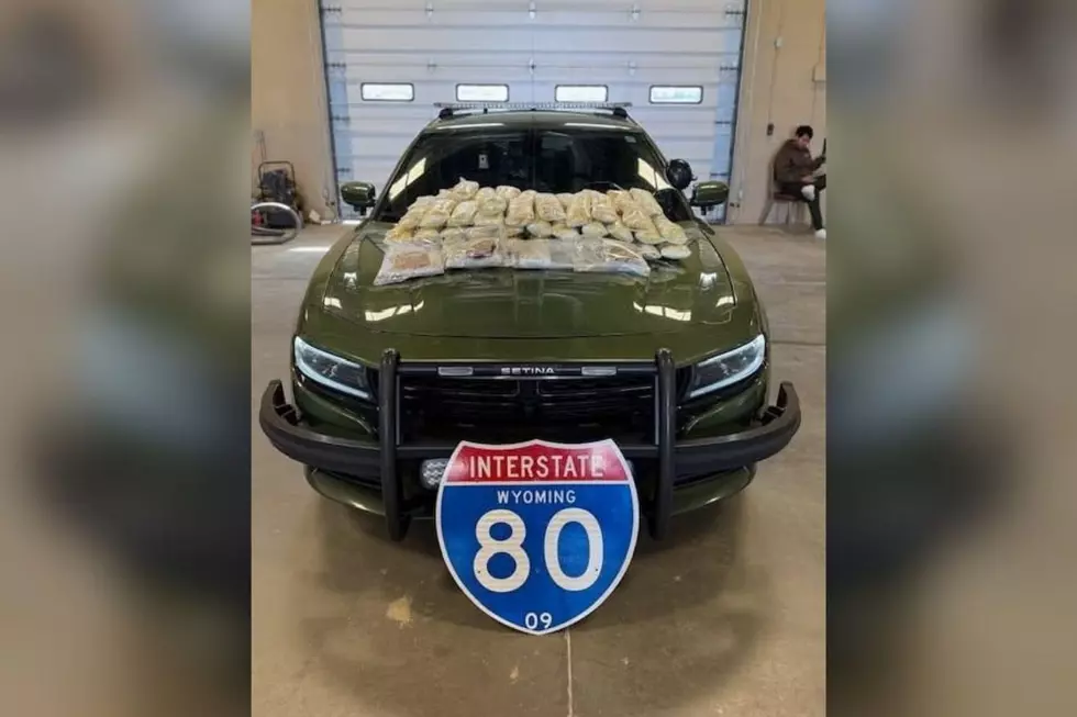 74 Pounds of Meth Seized During Traffic Stop on I-80 in Wyoming