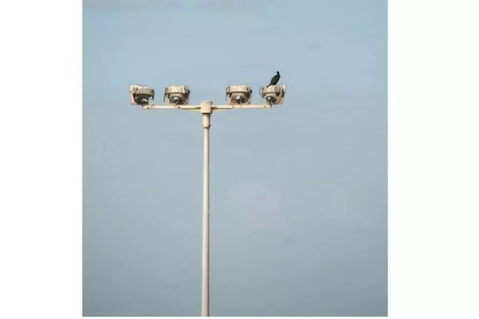 Cheyenne Police Department To Hold Meeting On Flock Cameras