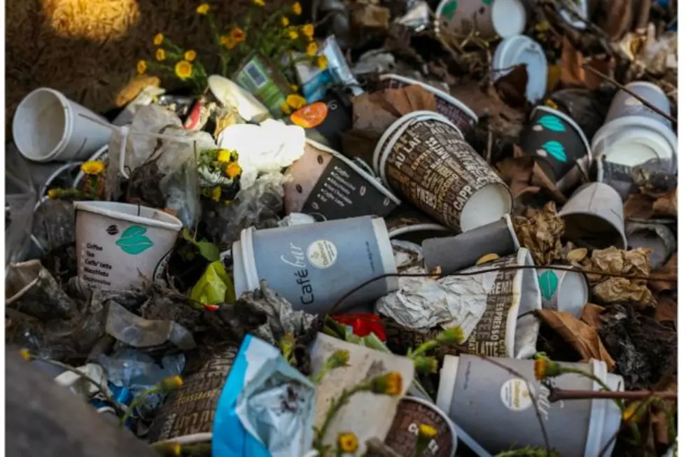 City Of Laramie Seeking Volunteers For Waste Characterization Study